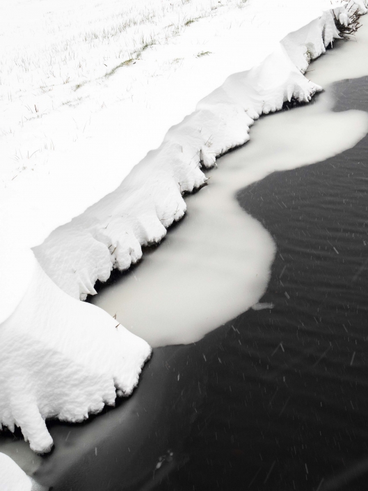 anne vogel photography